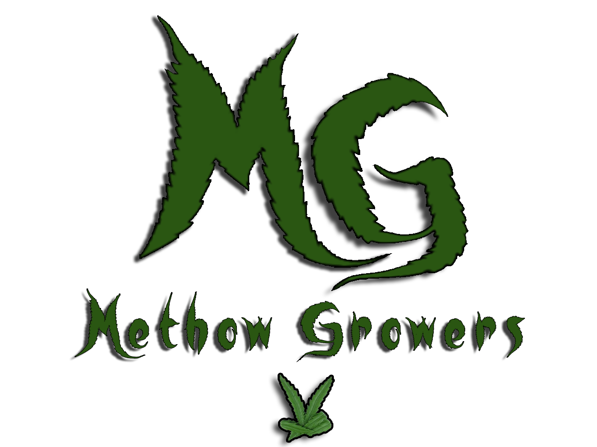 Logo Design by erizzy for this project | Design #4552623