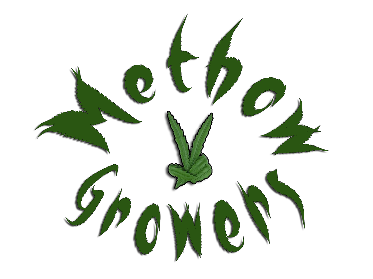 Logo Design by erizzy for this project | Design #4552630