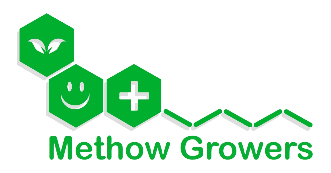 Logo Design by paul.bishop.velasco for this project | Design #4550332