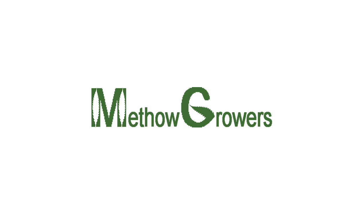 Logo Design by honey d for this project | Design #4631426