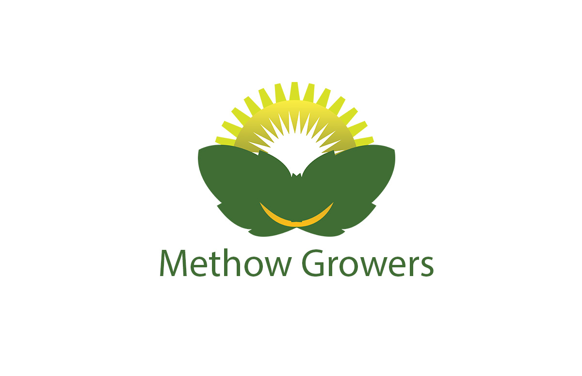 Logo Design by honey d for this project | Design #4636387