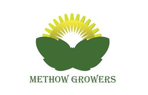 Logo Design by honey d for this project | Design: #4636388