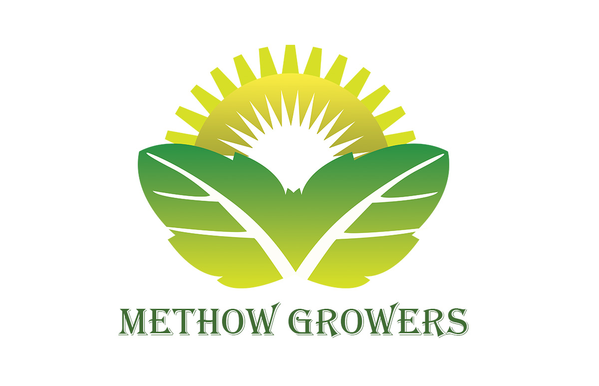 Logo Design by honey d for this project | Design #4636638