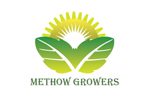 Logo Design by honey d for this project | Design: #4636638