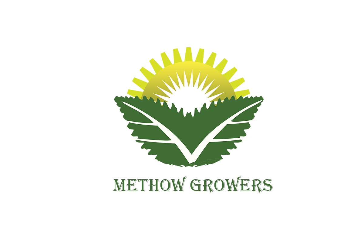 Logo Design by honey d for this project | Design #4637019