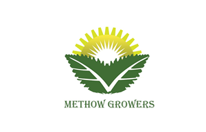 Logo Design by honey d for this project | Design: #4637019