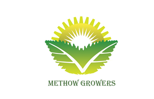 Logo Design by honey d for this project | Design: #4637026