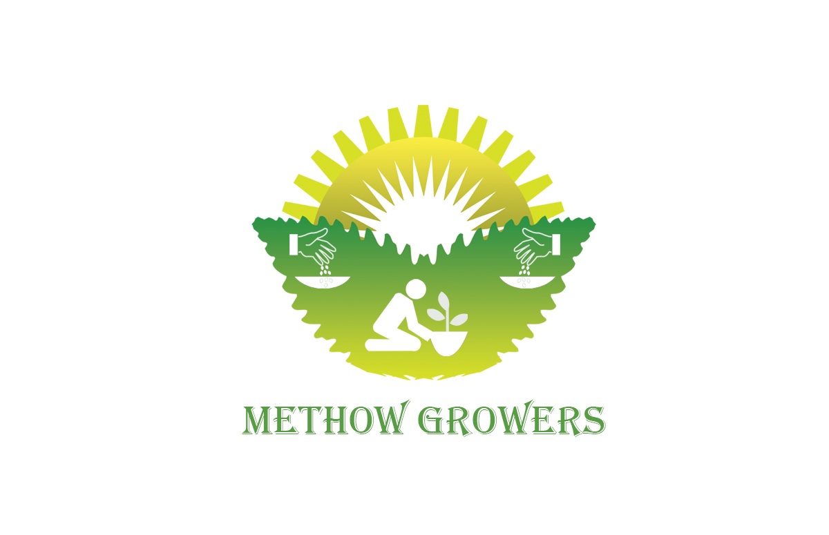 Logo Design by honey d for this project | Design #4644567