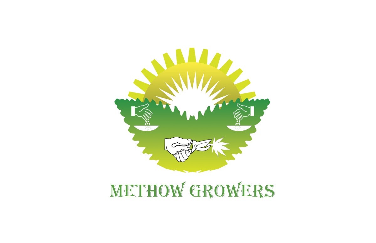 Logo Design by honey d for this project | Design #4644577