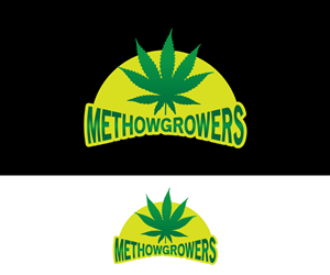 Diseño de Logo por Crest Logo Designs para este proyecto | Diseño: #4575897