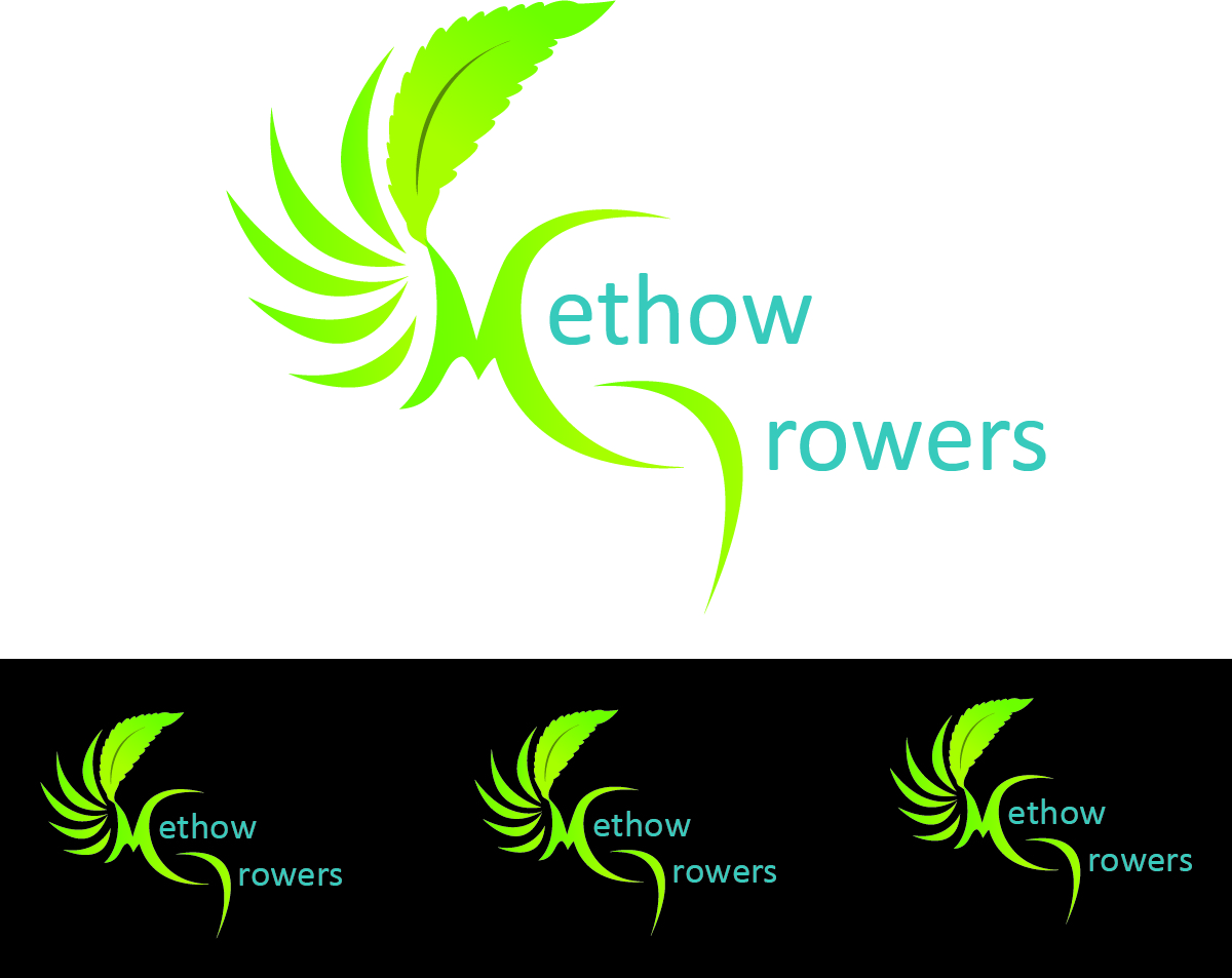 Logo Design by Niranjan for this project | Design #4562458