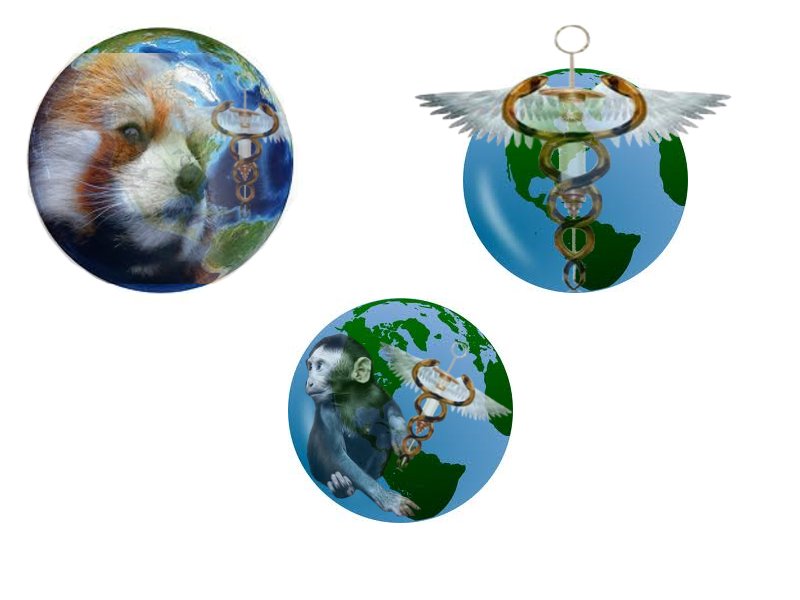 Logo Design by palmettoprince for The Analytical Edge Pty. Ltd. | Design #1293479