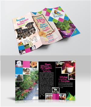 Brochure Design by Impressive Sol