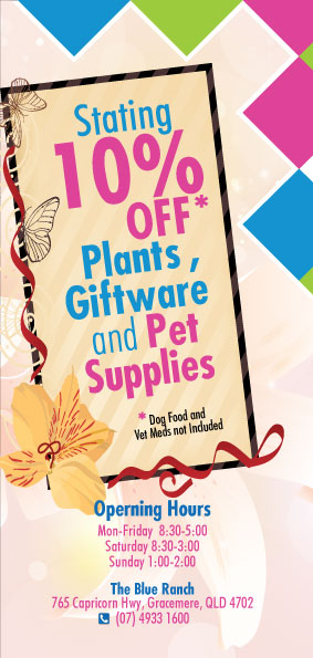 Brochure Design by Black Stallions Impressive Solutions for The Pet Company | Design #4565098