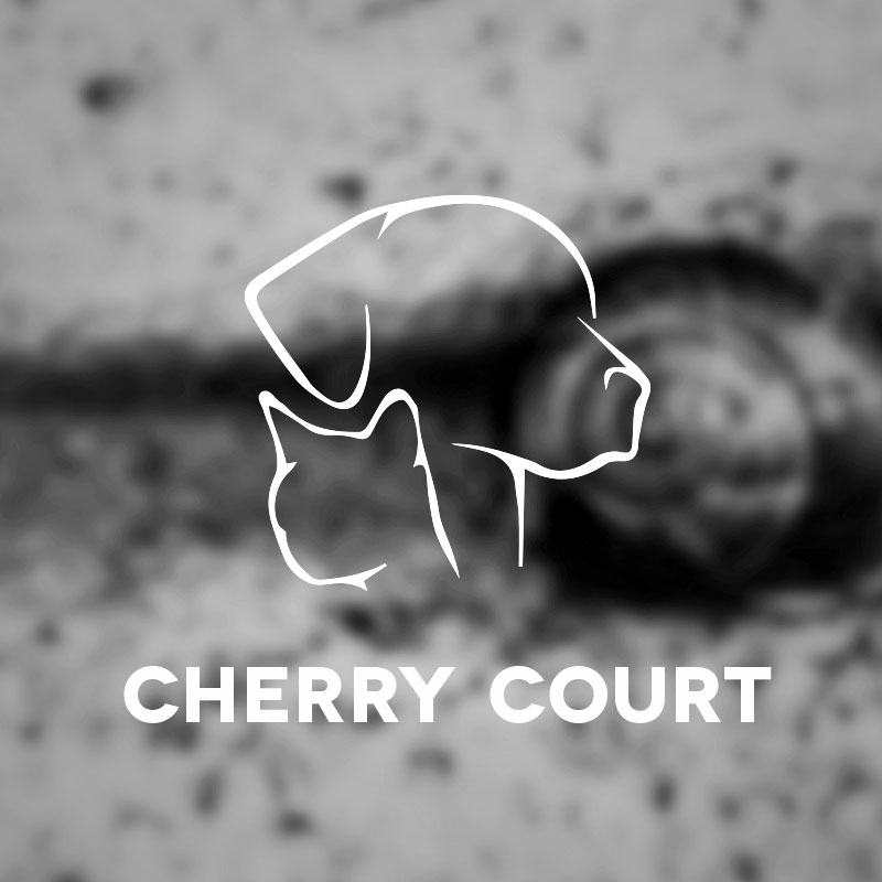Logo Design by Dynamic for this project | Design #4617670