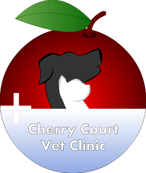 Logo Design by leapix