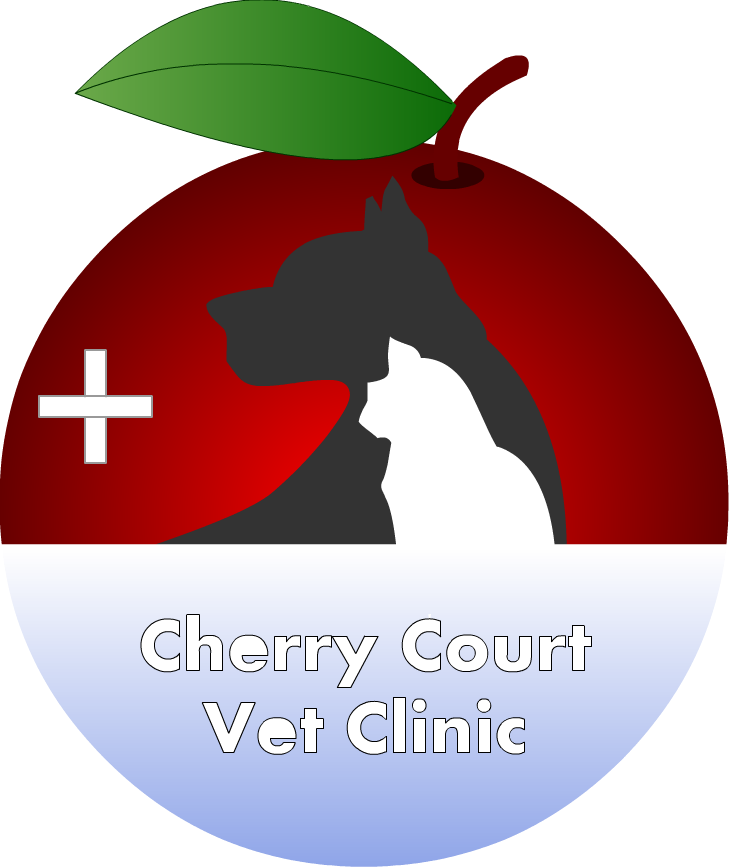 Logo Design by leapix for this project | Design #4639118