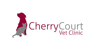 Logo Design by jjsleigh graphics