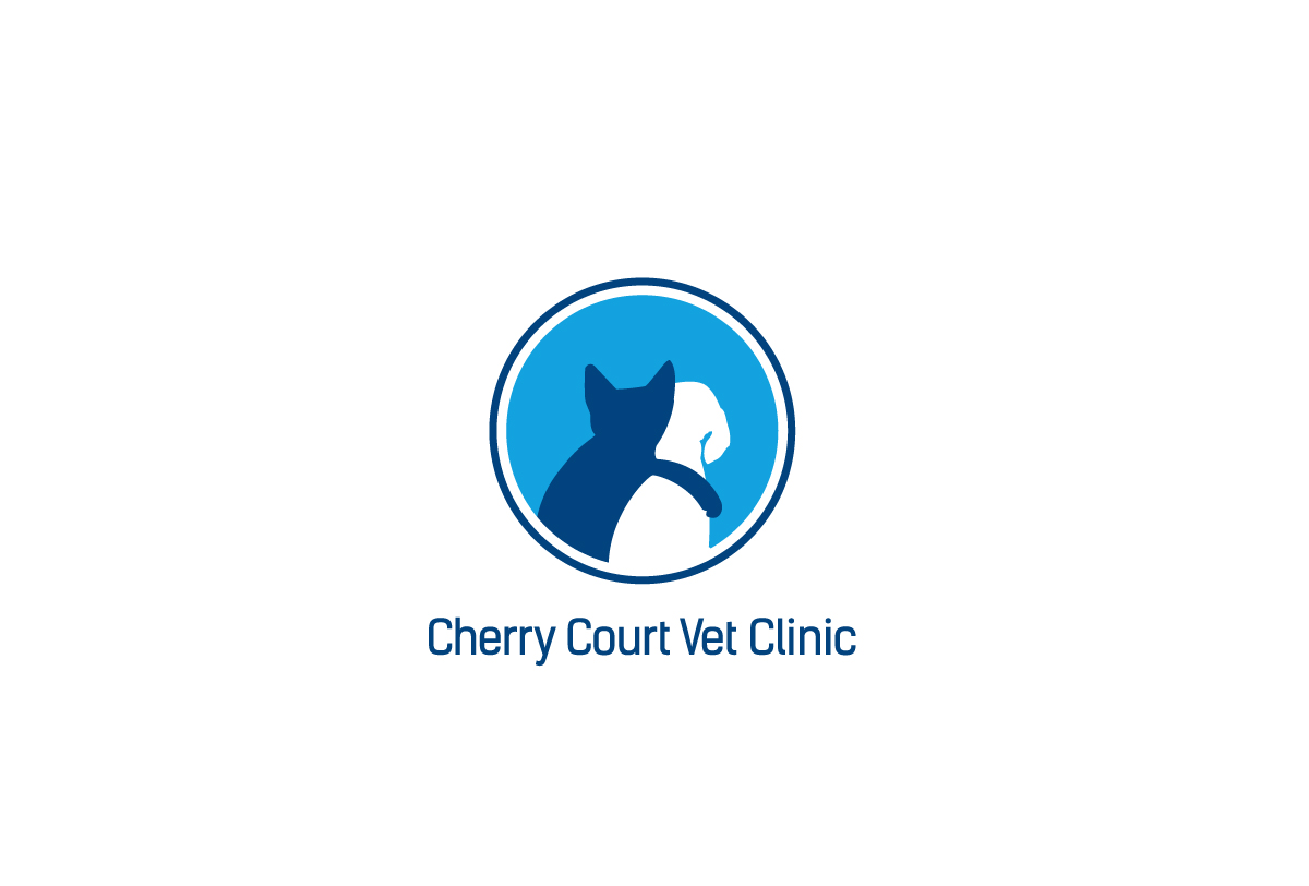 Logo Design by shohidul for this project | Design #4555133