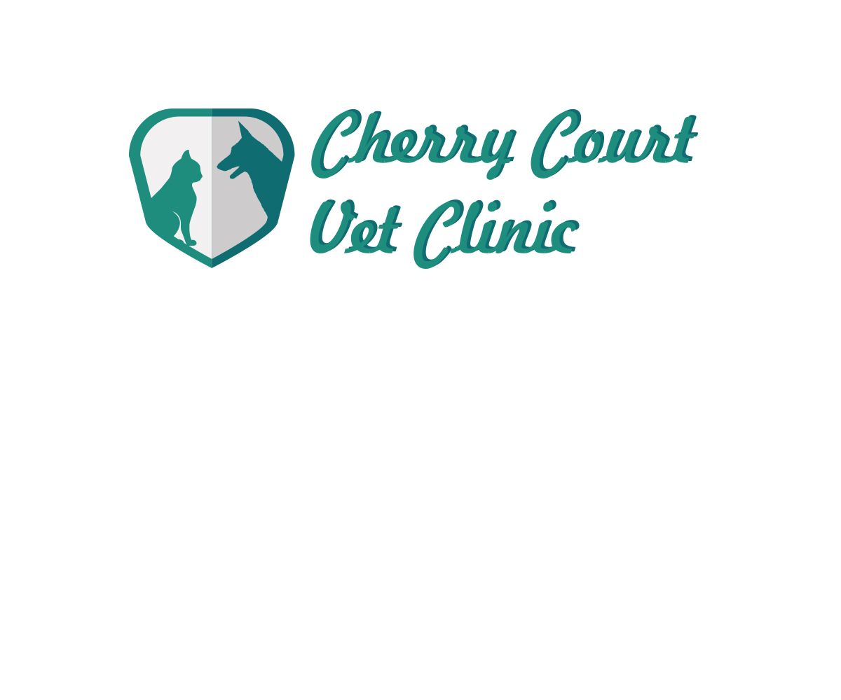 Logo Design by dnkdesign for this project | Design #4565917