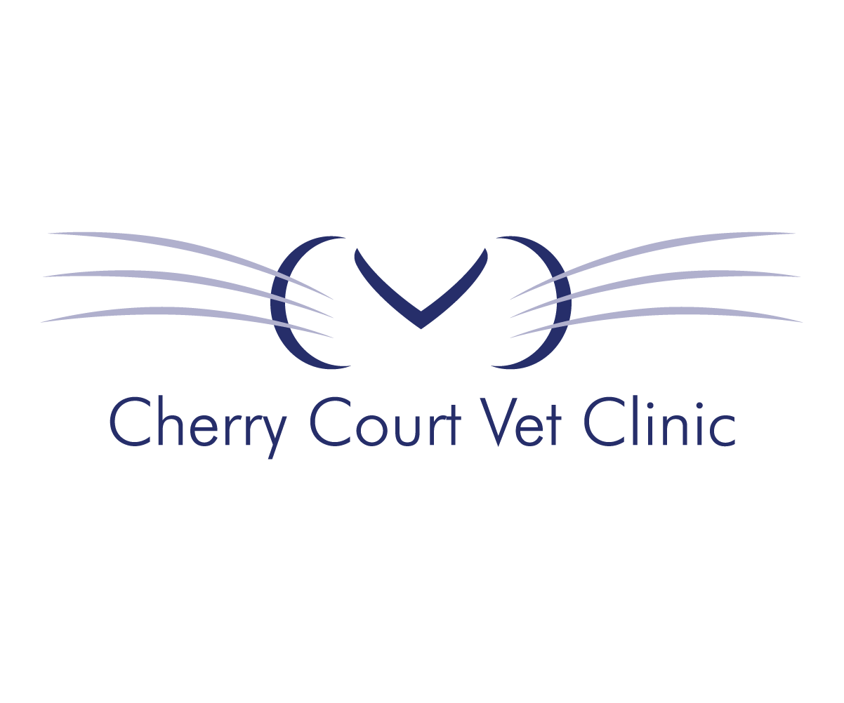 Logo Design by woofiedoo for this project | Design #4561423