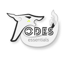 Logo Design by Anca Stirbacu