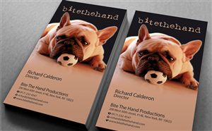 Business Card Design by imaginative for this project | Design: #1294853