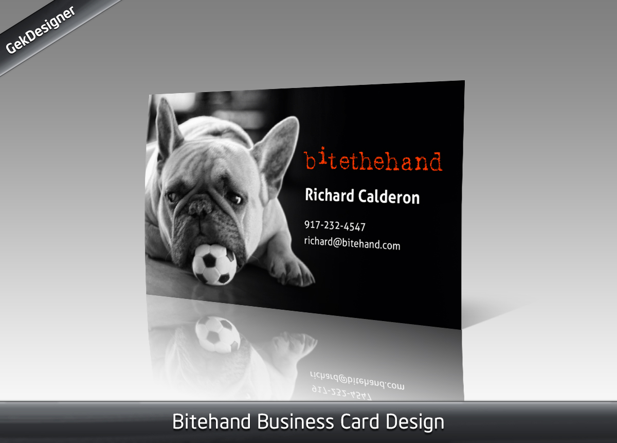 Business Card Design by gekgrfx for this project | Design #1324947