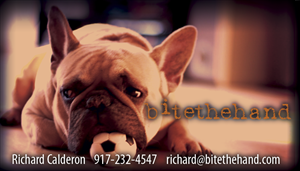 Business Card Design by maganalexis for this project | Design: #1290972