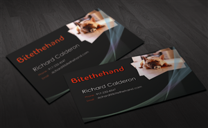 Business Card Design Project | Business Card Design by GraphicSolver