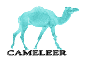Design Image