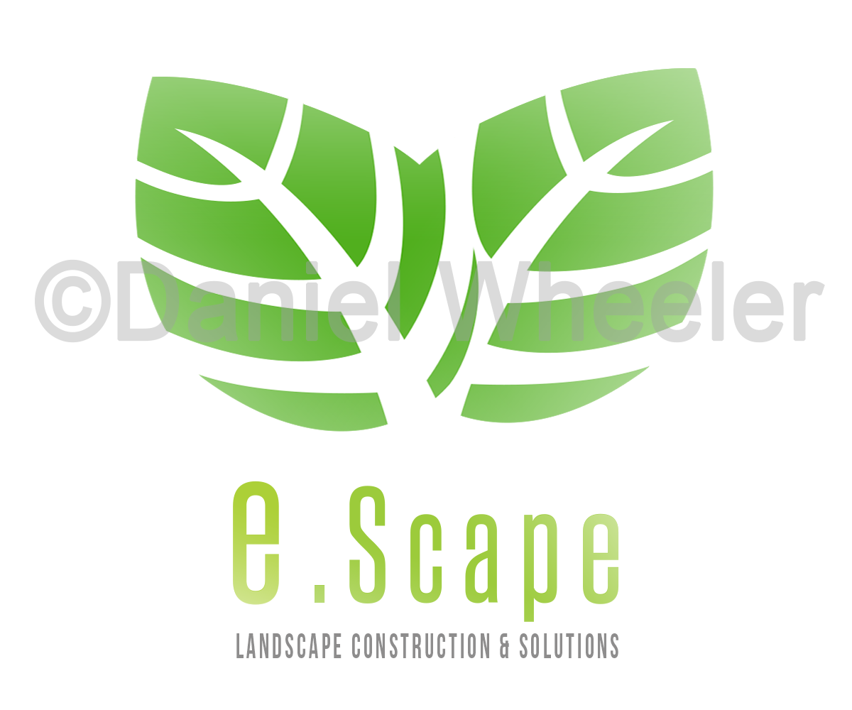 Logo Design by dan.wheeler for this project | Design #4570719
