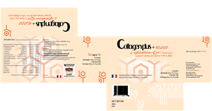 Packaging Design by TheSilverTiger