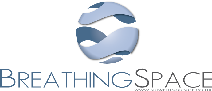 Logo Design by Breanne Owen for this project | Design: #205462