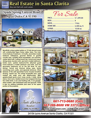 Flyer Design by NILDesigns