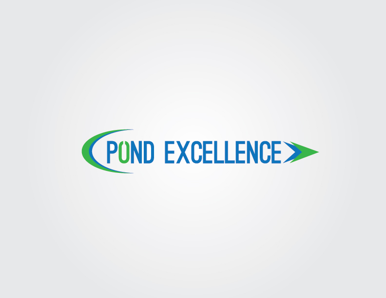 Logo Design by Pixel Story for The Impetus Agency | Design #4647372
