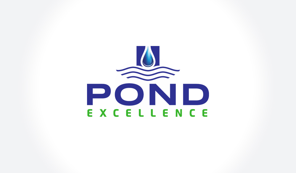 Design de Logo par Spektron Designs pour The Impetus Agency | Design #4666779