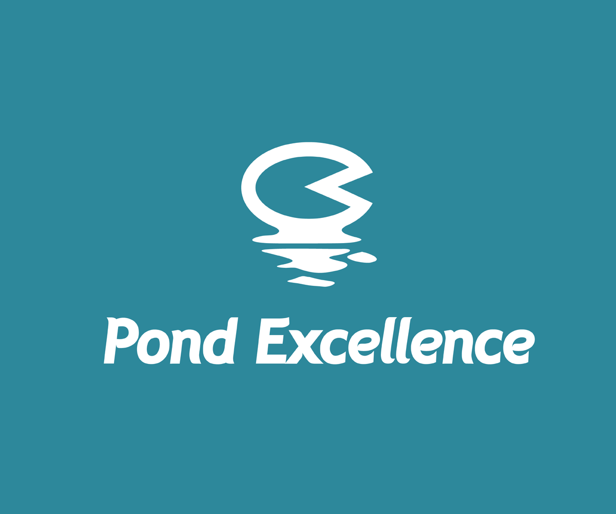 Logo Design by nom2 for The Impetus Agency | Design #4608725