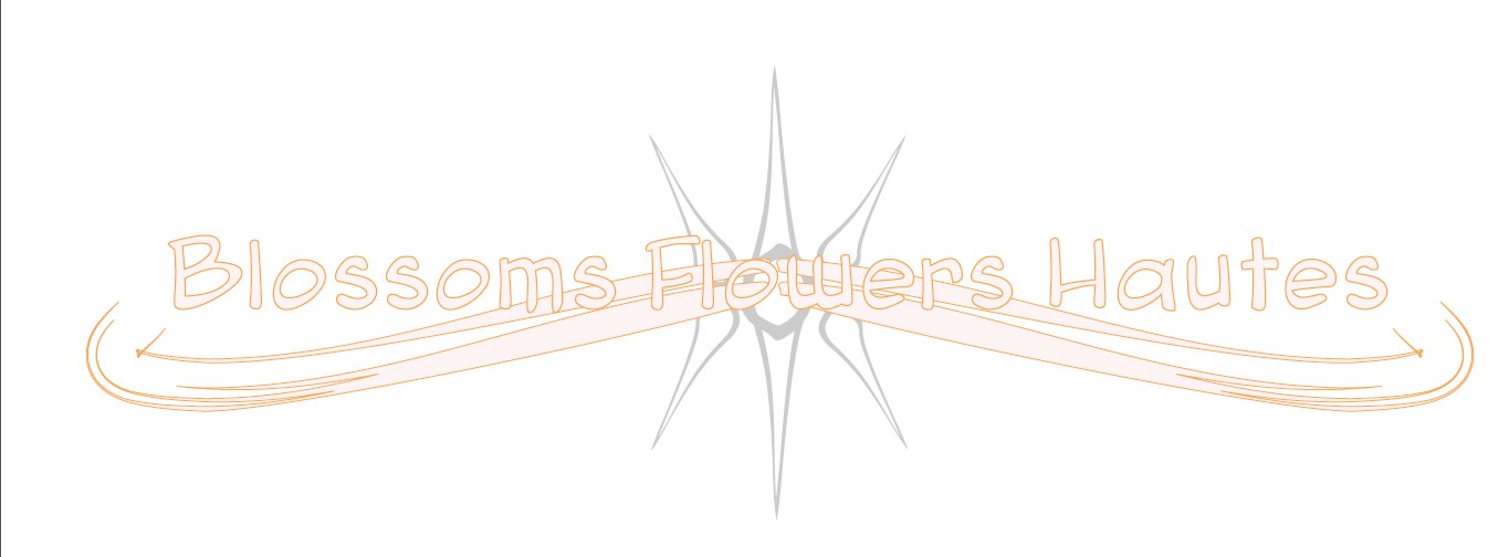 Design de Logo par Luccas Gomes pour ce projet | Design #4657143