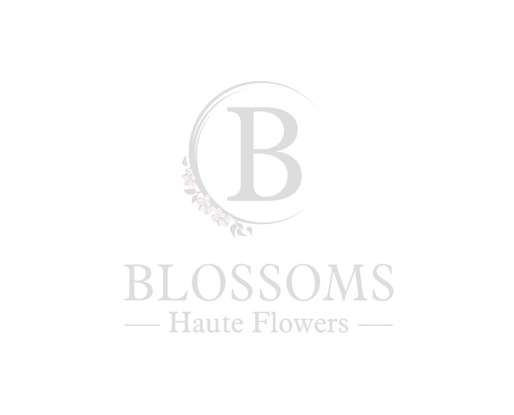 Logo Design by bc21 for this project | Design #4655103