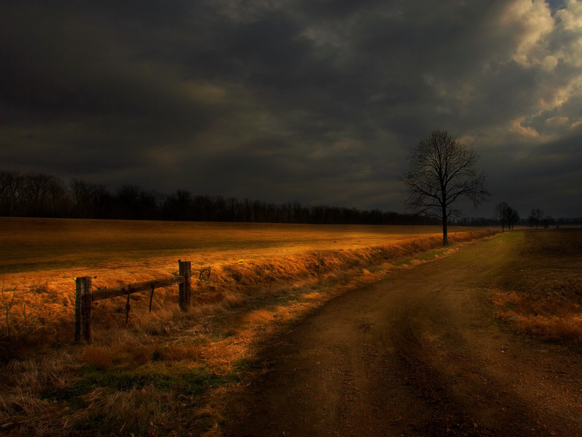 CD Cover Design by Quentinharris723@gmail.com for this project | Design #4592905