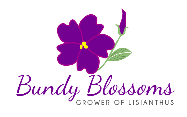 Logo Design by TSEdesign for this project | Design #4575078