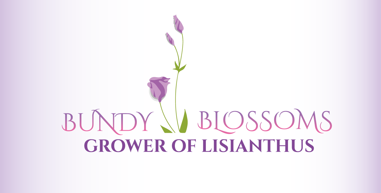 Logo Design by hafetz for this project | Design #4600063