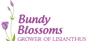 Logo Design by hafetz for this project | Design: #4606942