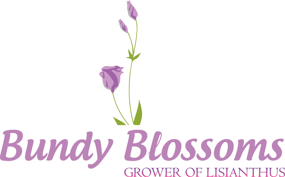 Logo Design by hafetz for this project | Design #4607217