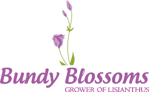 Logo Design by hafetz for this project | Design: #4607217