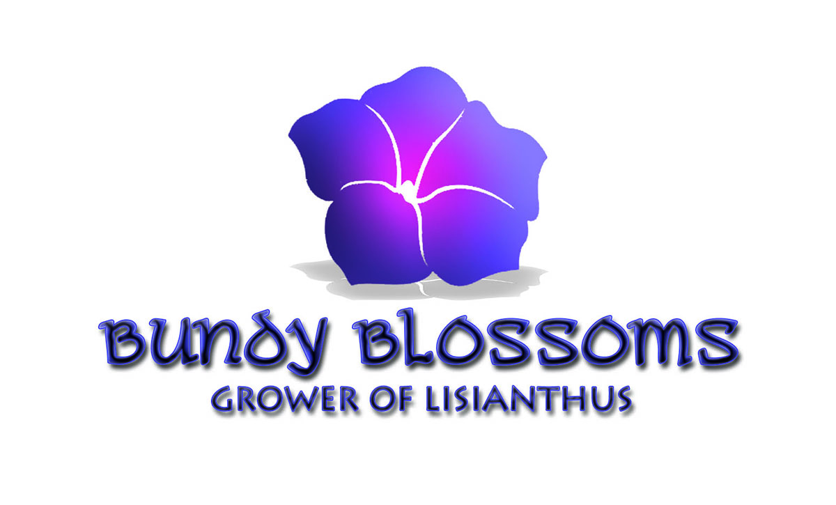Logo Design by jjacero for this project | Design #4570139