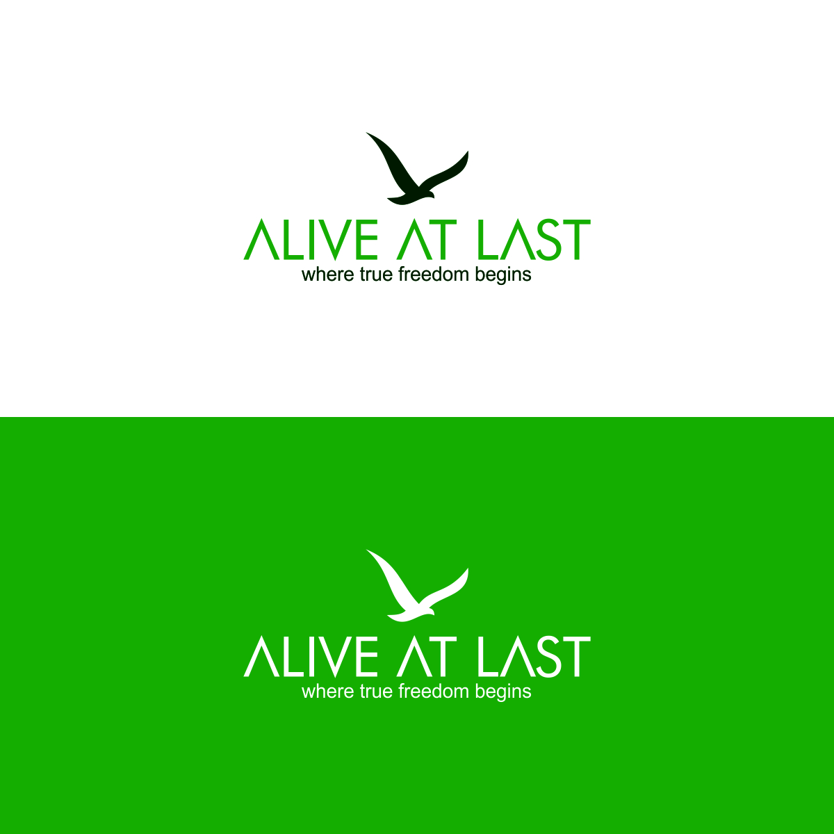 Logo Design by creativeride for this project | Design #4598368