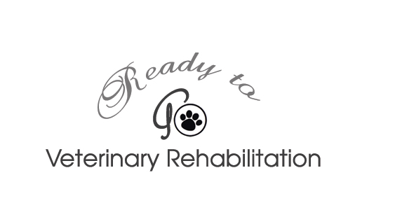 Logo Design by Sharmistha for Ready to Go Veterinary Rehabiliation | Design #4610002
