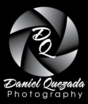 Logo Design by Frank Brittner Graphics for this project | Design: #4601455